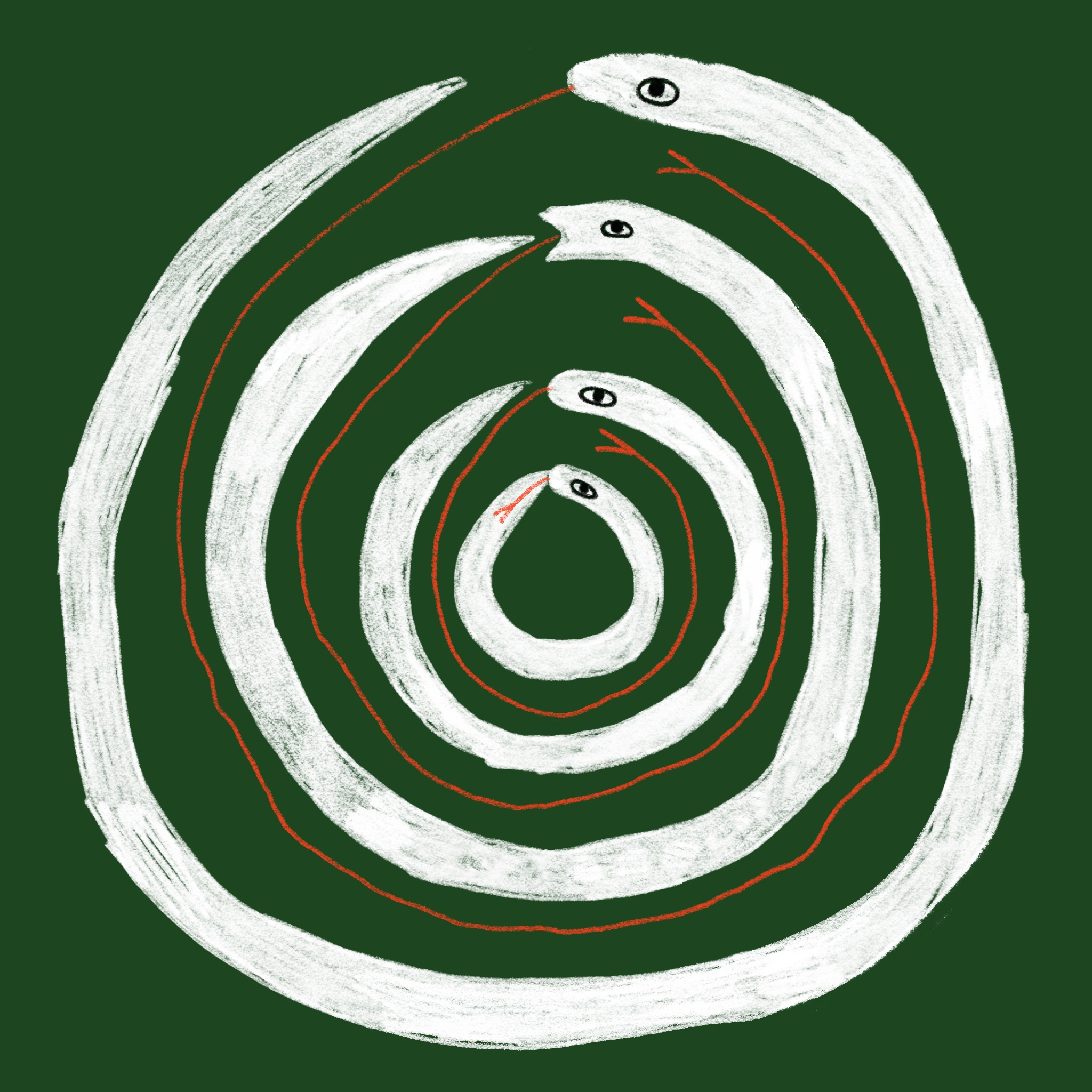 Snakes Illustration by Lot van Teylingen